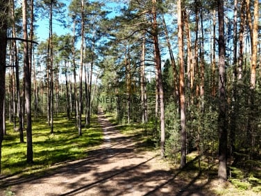 Działka Kolonia Kąty