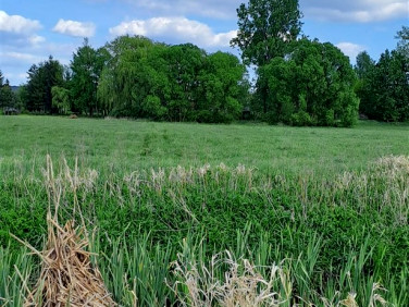 Działka rolna sprzedam