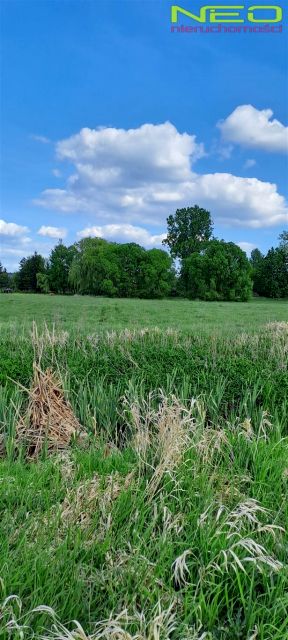 Działka rolna sprzedam