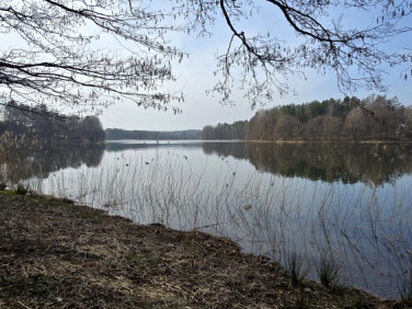 Działka rekreacyjna Żukowo