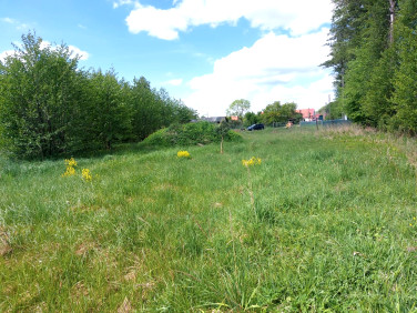 Działka budowlana Zamienice