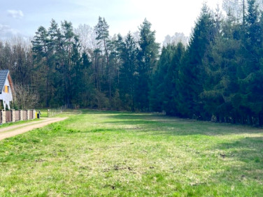 Działka budowlana Wasilków