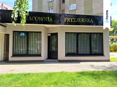 Lokal Zielona Góra