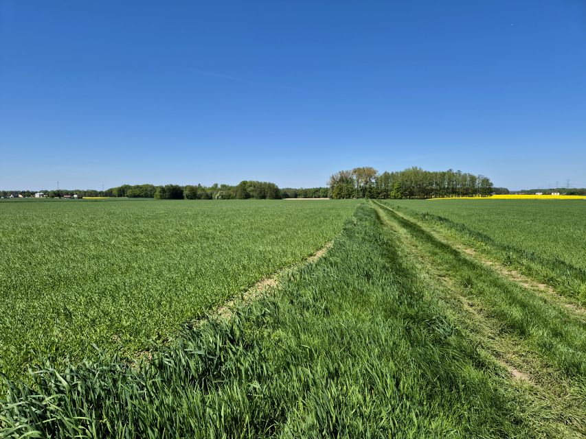 Działka rolna Pruchna