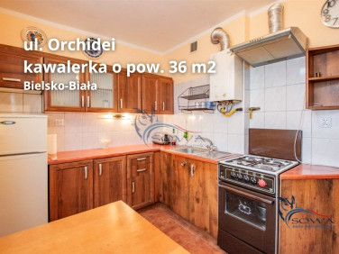 Mieszkanie Bielsko-Biała