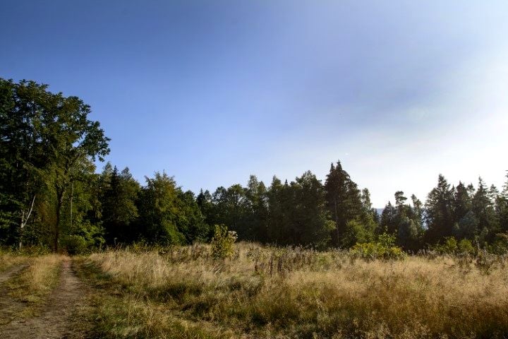 Zdjęcie 2
