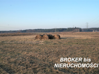 Pusta działka Ściechów