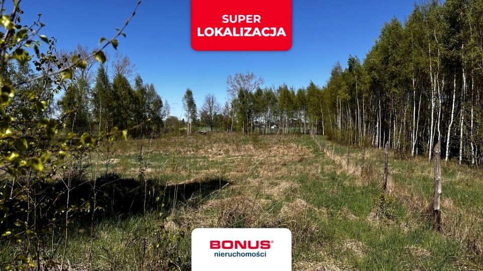 Działka Liniewo