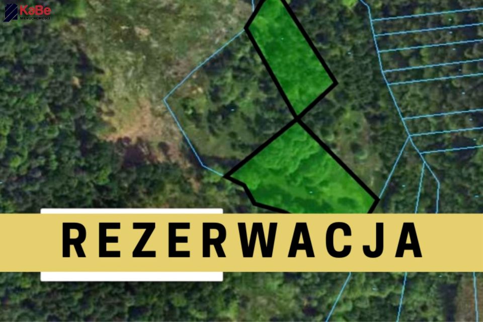 Działka przy lesie