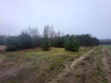 Działka rekreacyjna Nowe Miasto