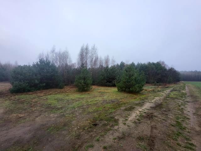 Działka rekreacyjna Nowe Miasto