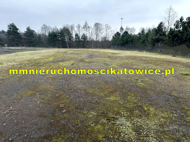 Lokal Jaworzno wynajem