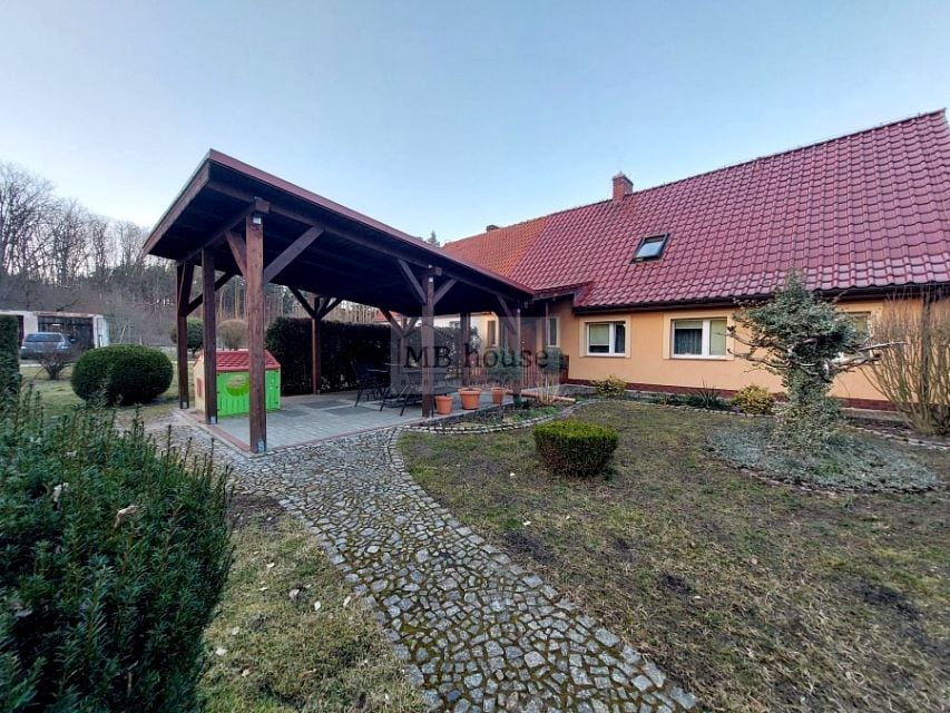 Zdjęcie 3