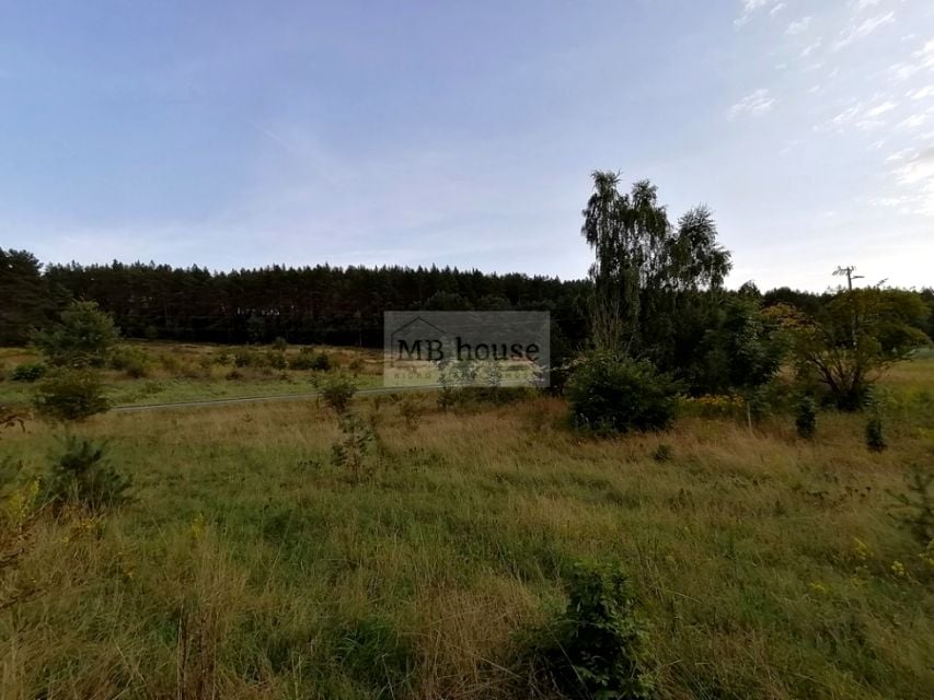 Zdjęcie 3
