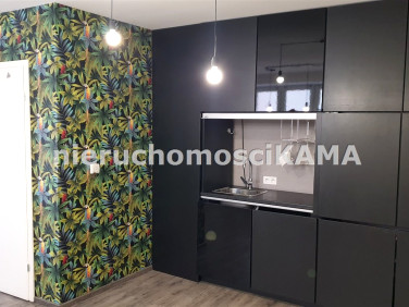 Lokal Bielsko-Biała
