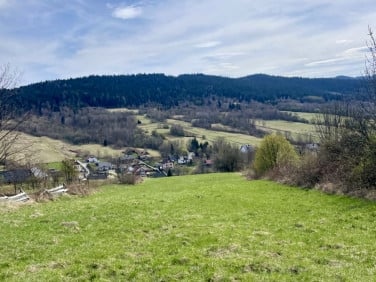 Działka Kocoń