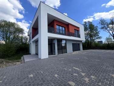 Lokal Kielce