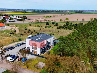 Mieszkanie ŚRODA WIELKOPOLSKA