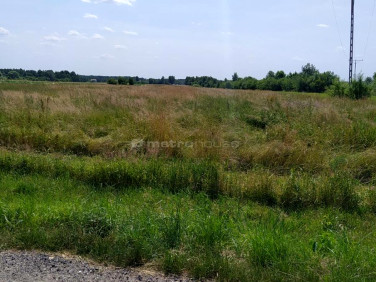 Działka Marków-Towarzystwo