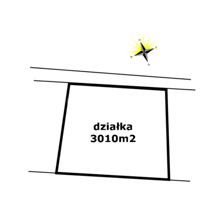 Zdjęcie 3