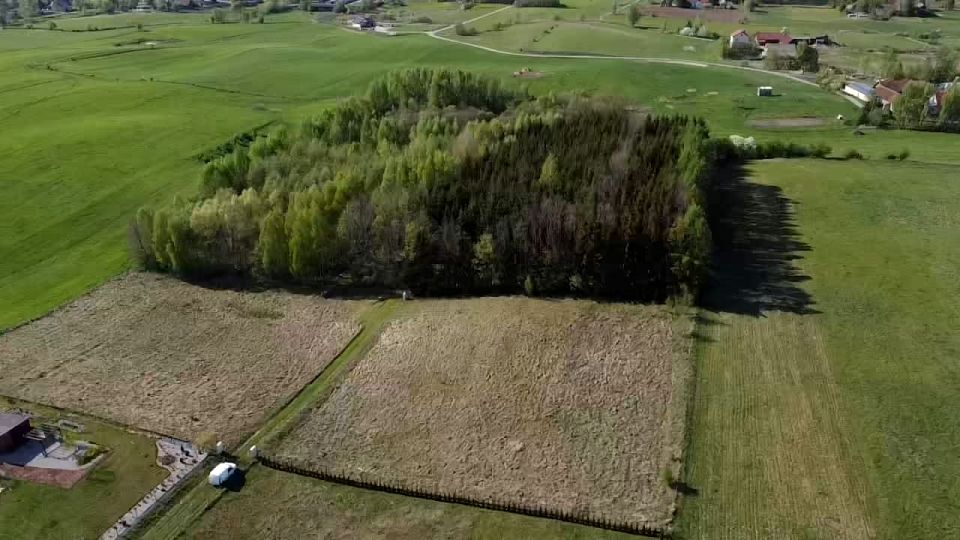 Działka Kałęczyny