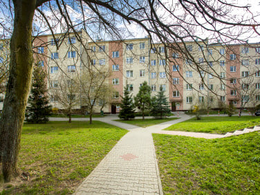 Mieszkanie Kielce