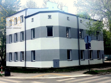 Mieszkanie Łódź wynajem