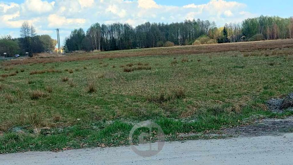 Działka usługowa Rogi