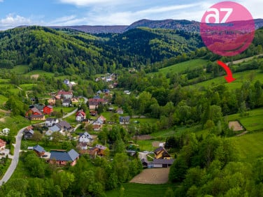 Działka przy lesie