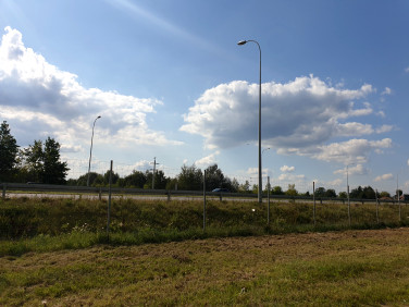 Zalesiona działka Otwock