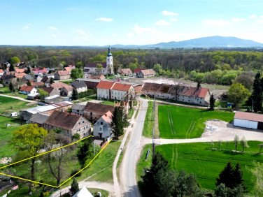 Dom Milin