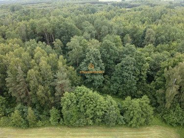 Działka Prymusowa Wola