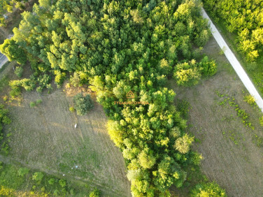 Działka Nowe Miasto nad Pilicą