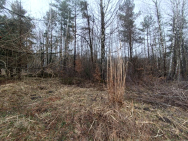 Działka rekreacyjna Przyłogi