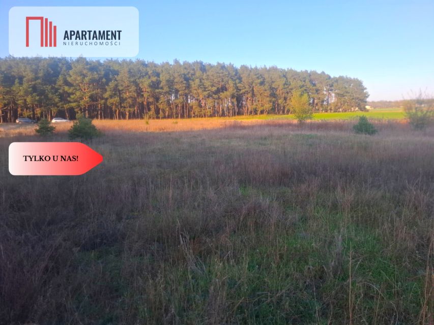 Działka rolna Borówno sprzedam