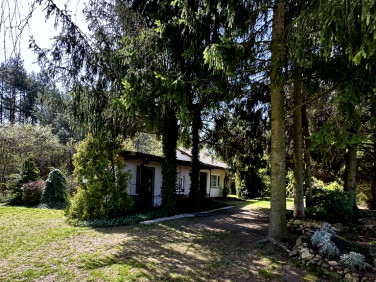 Ogrodzona działka Kraszew