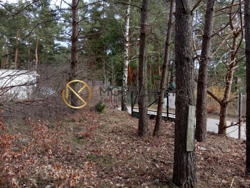 Działka Borkowo