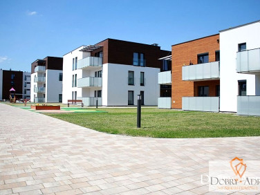Mieszkanie Rzeszów wynajem