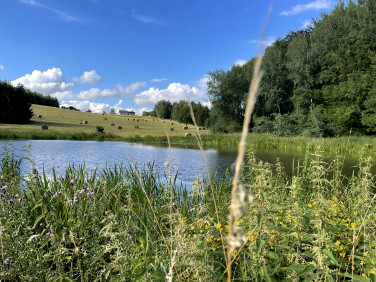 Działka Rogowo