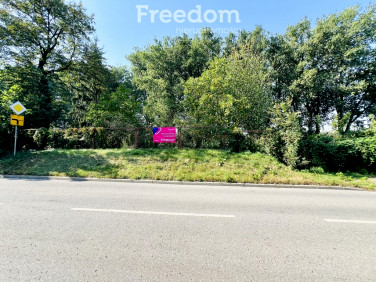 Działka budowlana CIECHANÓW