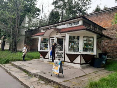 Lokal Kraków
