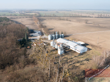 Działka inwestycyjna Ludwikowo
