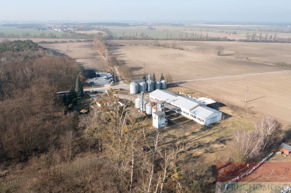 Działka inwestycyjna Ludwikowo