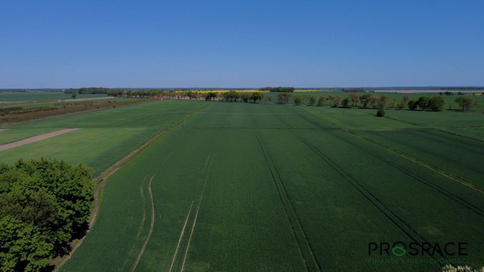 Działka rolna Stare Strącze