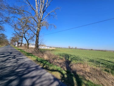 Działka budowlana Grodziszczko sprzedam