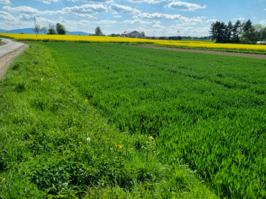 Działka usługowa Wilamowice