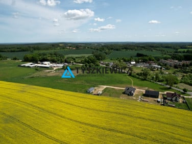 Działka usługowa Domachowo