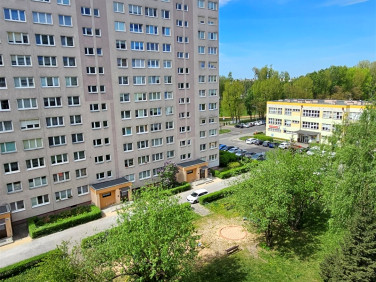 Mieszkanie Toruń