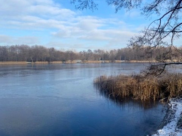 Działka Jerzyn