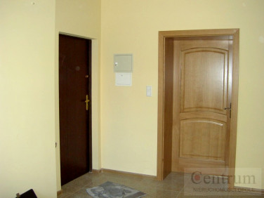 Lokal Opole